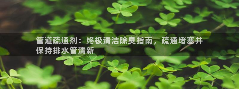 尊龙游戏官方网：管道疏通剂：终极清洁除臭指南，疏通堵塞并