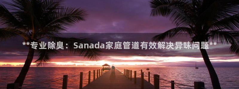 尊龙凯时官网版登录：**专业除臭：Sanada家庭管道有